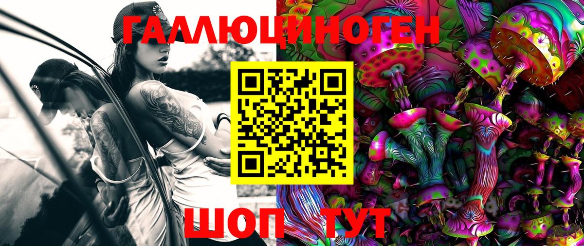 Галлюциногенные грибы Psilocybine cubensis Чехов