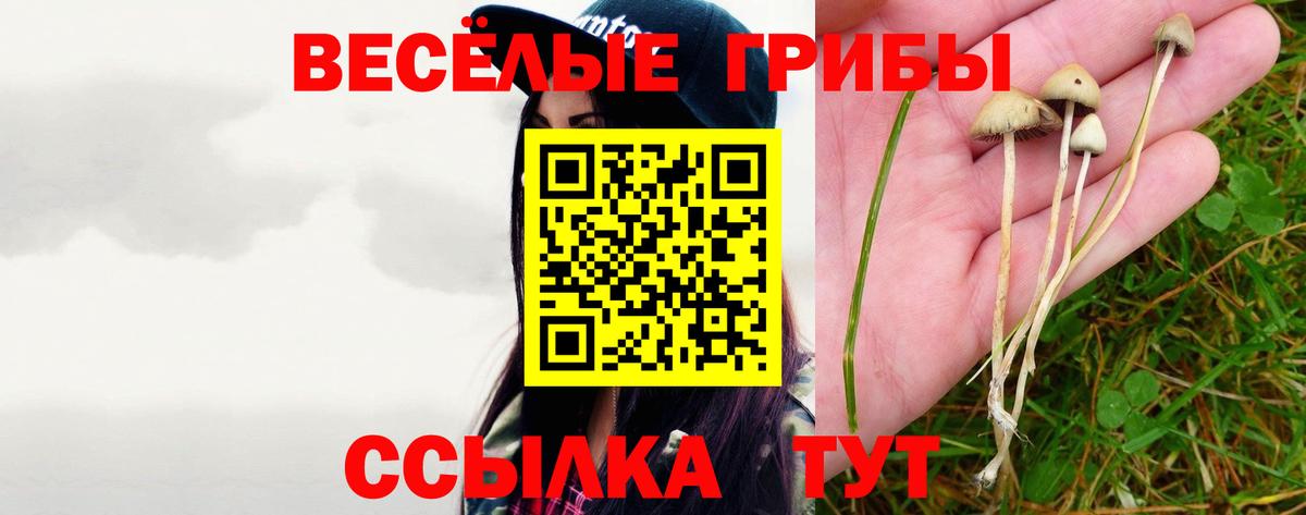 Чехов  Галлюциногенные грибы GOLDEN TEACHER  Вход с VPN  Псилоцибиновые грибы Magic Shrooms 